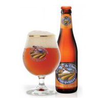 queue-de-charrue-ambree