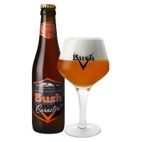 Bush Caractere_600